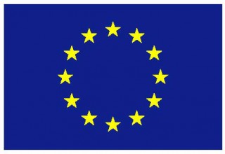 EU Flag