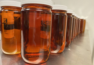 CBD Life Sciences Inc., Thursday, January 7, 2021, Press release picture