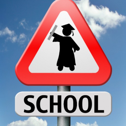 Cruvita.com Launches Orlando School Evaluations and Home Listings