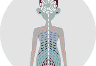 Medigraytion's Interoception Illustration