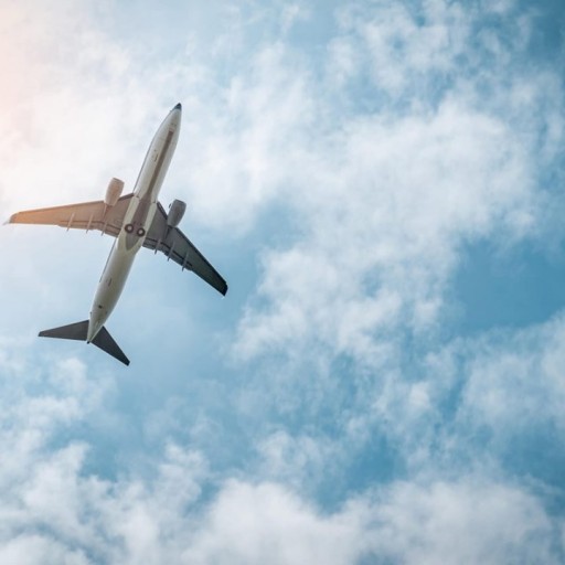 Meet Elevate Management Group: Rising to the Top Fast