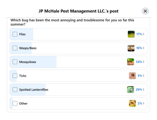 Mosquitoes Rank #1 Most Annoying Bug This Summer in a New Survey