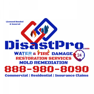 DisastPro