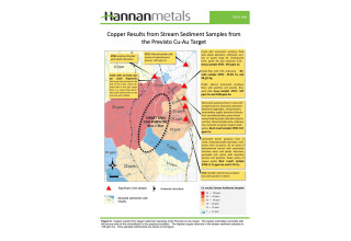Hannan Metals Ltd., Wednesday, January 27, 2021, Press release picture