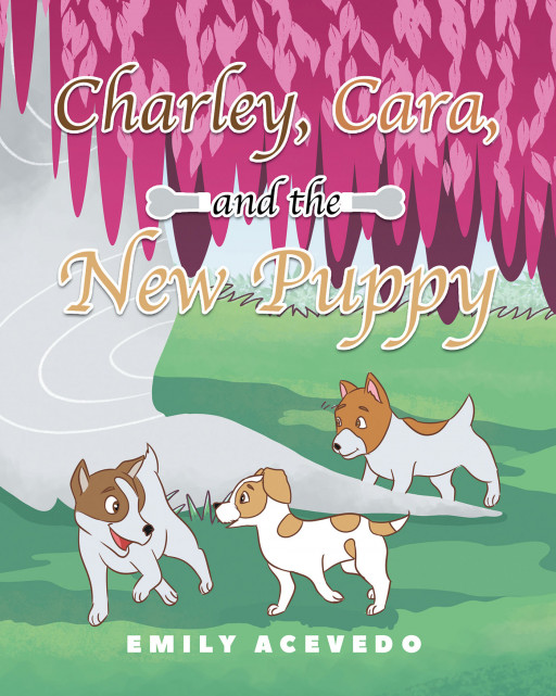 Emily Acevedo's New Book, 'Charley, Cara, and the New Puppy', Follows the Fun Days of Two Puppy Siblings and Their Big Surprise
