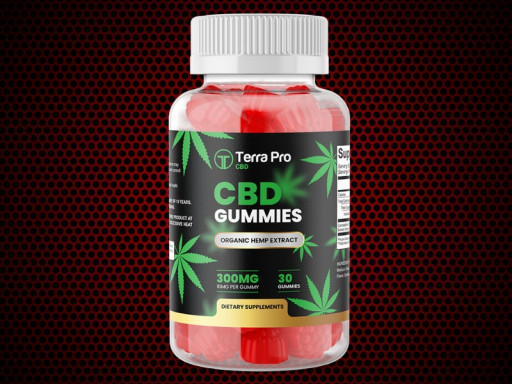 Terra Pro CBD Gummies Highlighted for Promoting Calm, Focus, and Restful Sleep