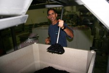 Grape Crushing