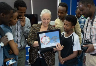 Bringing the Universal Declaration of Human Rights to life.