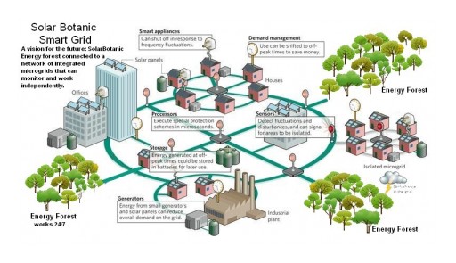 Disruptive Renewable Energy Technology Imitates Nature to Deliver Beauty and Power