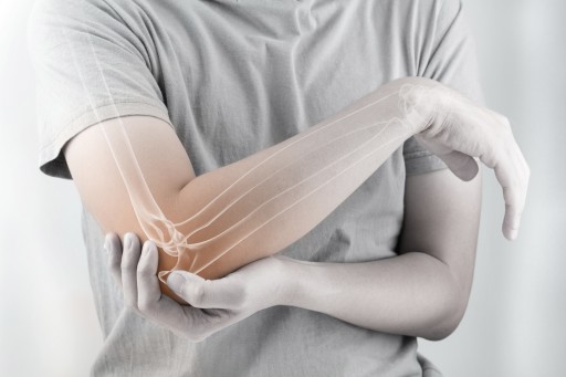 Bones and Teeth — Important Differences, Presented by the Sacramento Dentistry Group
