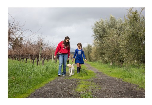 Winery Trains Puppy to Do Two Very Different Jobs