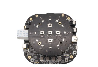 Far-field voice module