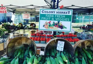Colony Market Display