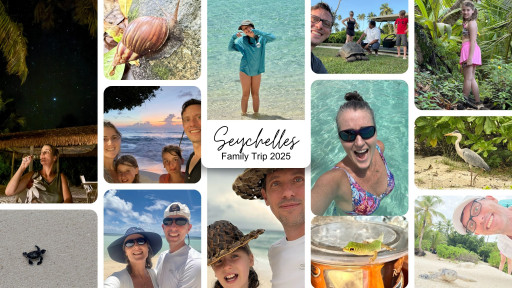 Seychelles: A Transformational Journey Into Nature, Presence, and Legacy