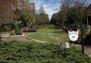 Ripley's Believe It or Not! Odd Spot: Snake Alley