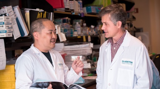 Scientists Learn How to Avoid a Roadblock When Reprogramming Cells