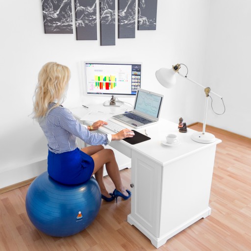 Christmas Bells Are Ringing! Lazy Monk Comes With a Hard to Refuse Offer for the Exercise Ball