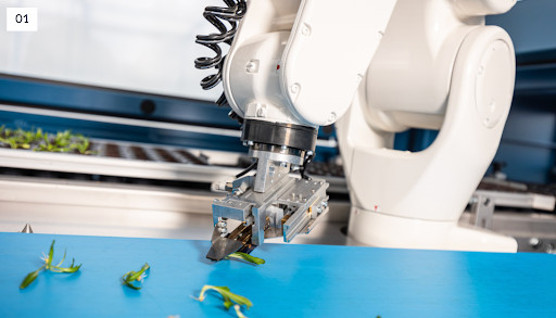 AI-Powered Agriculture: Plantd's Next Leap Toward Climate Impact at Scale