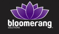 Bloomerang Solutions