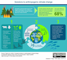 Solutions to anthropogenic climate change