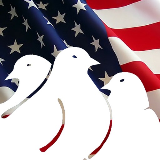 Nixalite of America Inc. Helps Customers Stay Pest-Free This Memorial Day