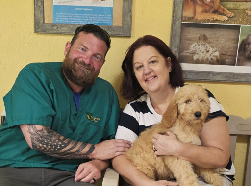 Golden Retriever and Goldendoodle Breeder, Golden Puppies, Donates Puppy as a Service Dog