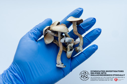 Compassion Center and SIDHE Calls for Urgent Action on Misleading and Dangerous Psychedelic Products Flooding the Market
