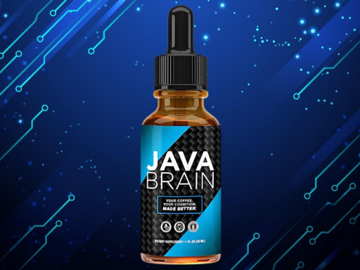 Java Brain Investigation: Official Website Claims Under Review