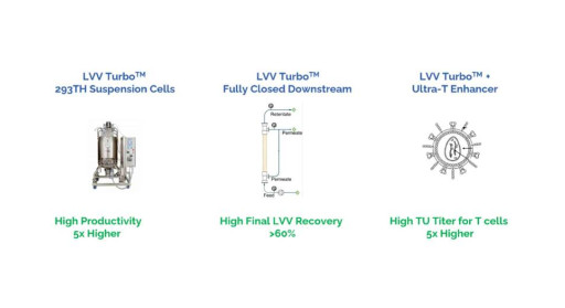uBriGene and Cellinfinity BIO Announce Strategic Partnership to Advance In Vivo CAR-T Therapies