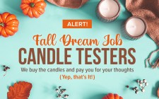 Fall Dream Job