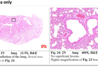 Ainos, Inc., Friday, September 30, 2022, Press release picture