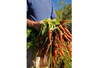 High Altitude Farming at Knapp Ranch