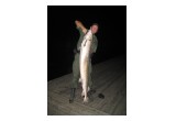 Officer Borkovich with large illegal Sturgeon