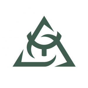 Digital Power FZE LLC