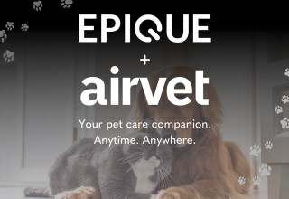 Epique + Airvet