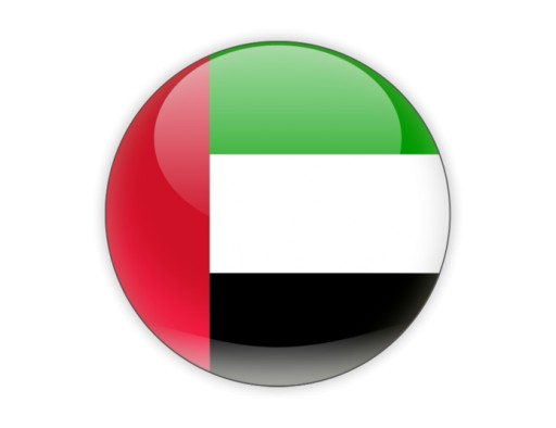 eFatoora Dubai Leading Startup Celebrates One-Year Anniversary