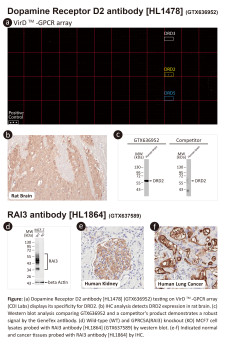 GPCR Validation Data
