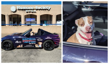 Roger Beasley Mazda and Austin Humane Society