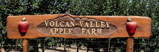 Volcan Valley Apple Farm Kicks Off Julian Apple Season.