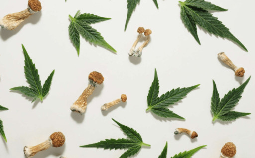 CBD Life Sciences Inc. (CBDL) Company Online Sales Up 500%