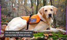 Seizure Response Service Dog