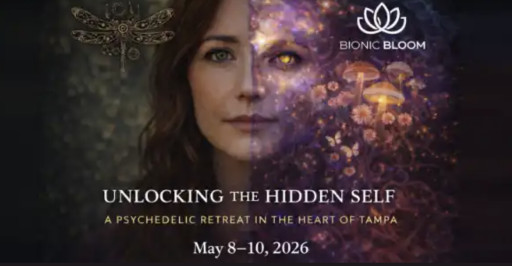 See, What Had Happened Was...