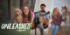 Unleashed by DOGTV